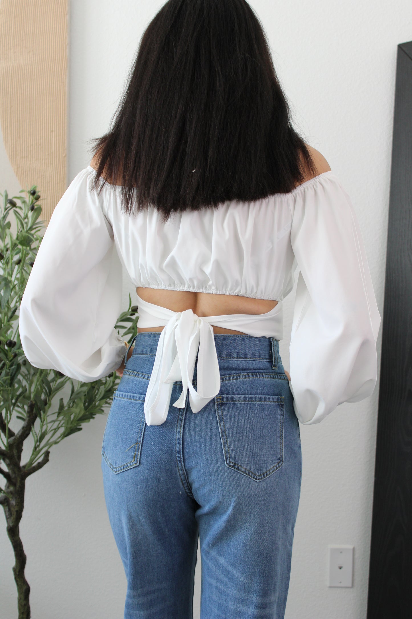 Demi Balloon Sleeve Crop Top: White