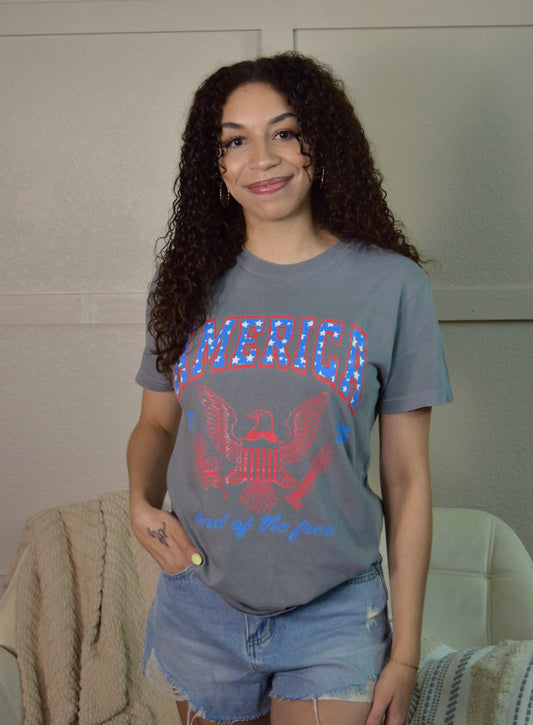 America Top: Gray
