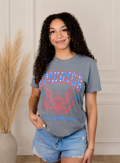 America Top: Gray