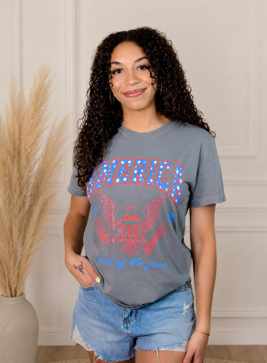 America Top: Gray